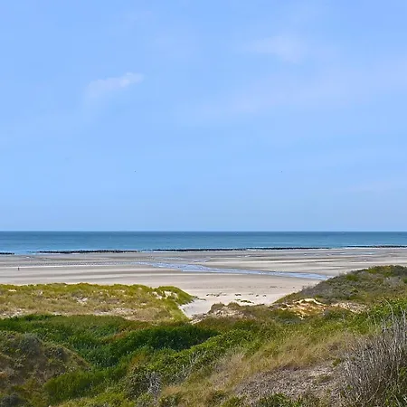 Cristal D'opale * Camiers