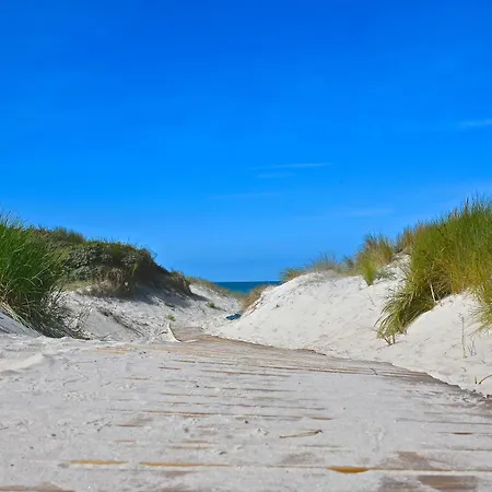 Cristal D'opale * Camiers