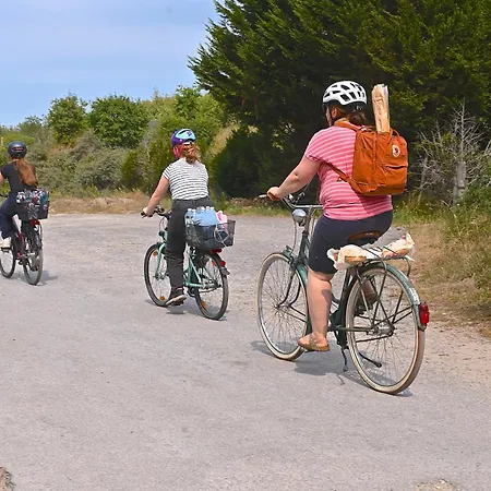 Cristal D'opale * Camiers