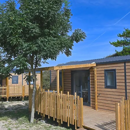 Cristal D'opale Camiers