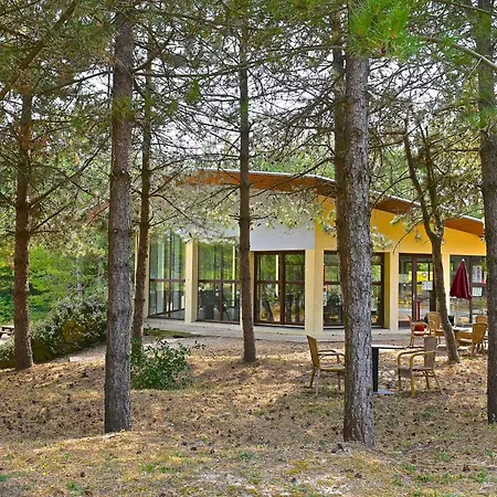 Cristal D'opale Camiers